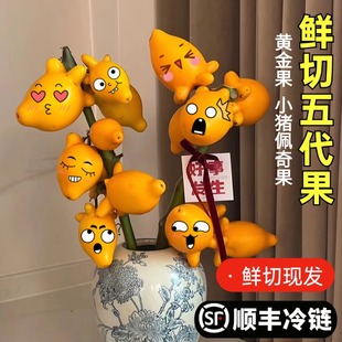 五代果鲜切同堂黄金果云南直发长寿果观赏装饰果新鲜现采植物家用