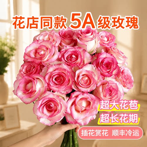 玫瑰鲜切花云南基地粉荔枝弗洛伊