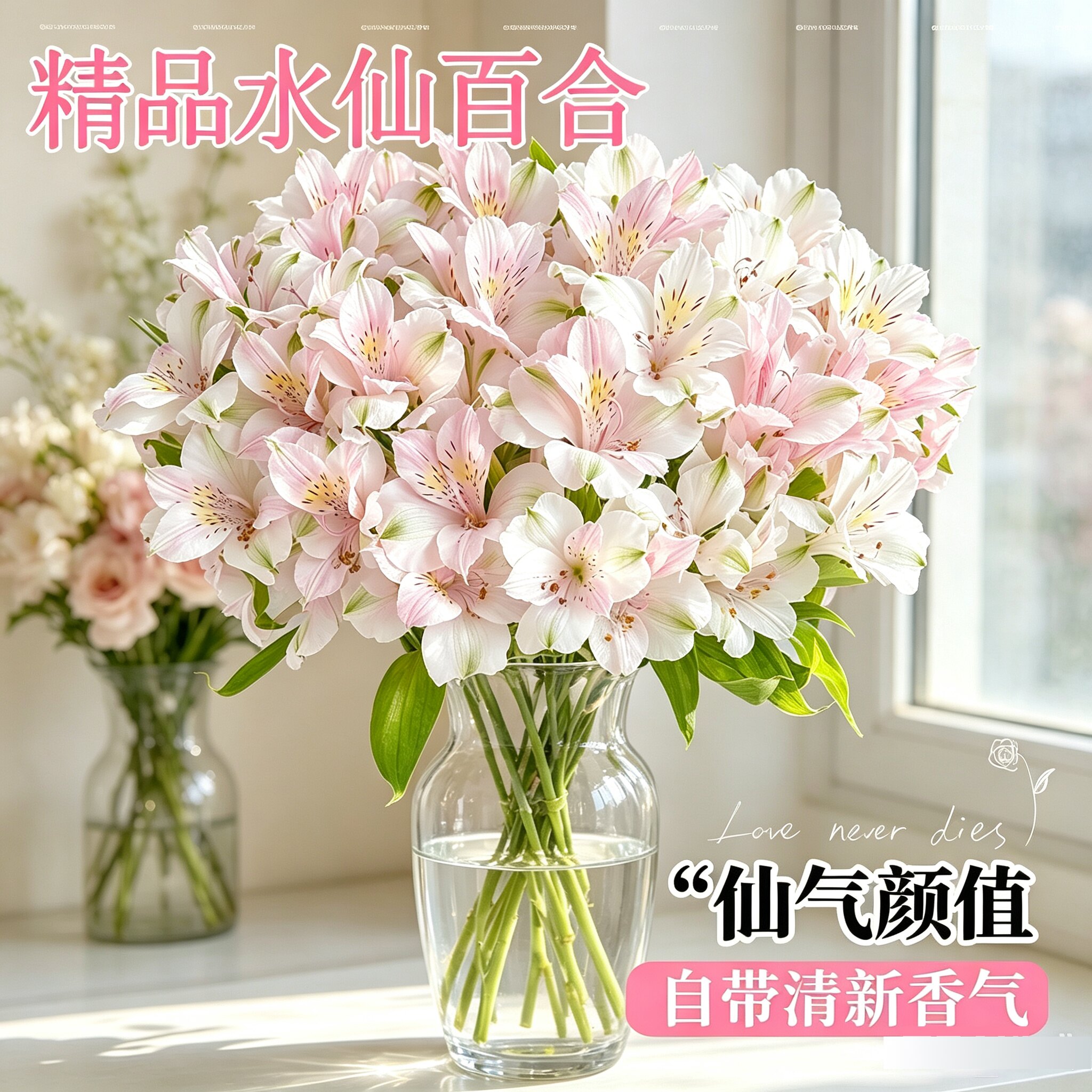 水仙百合鲜花云南基地直发