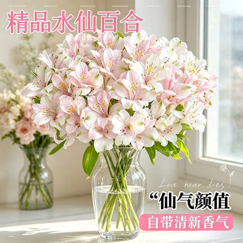 水仙百合鲜花云南基地直发