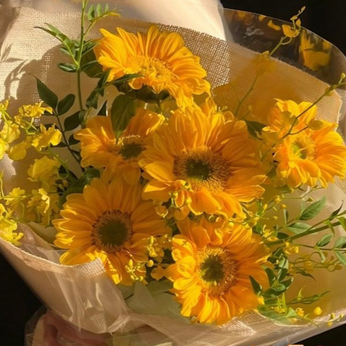 向日葵鲜花大花云南基地直发