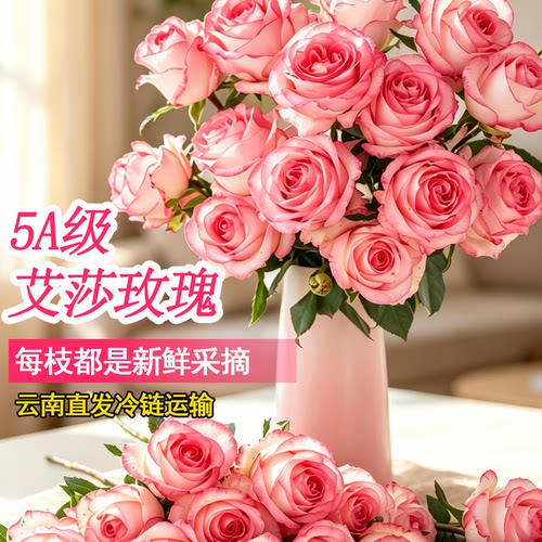插花红玫瑰花粉荔枝鲜切花顺丰