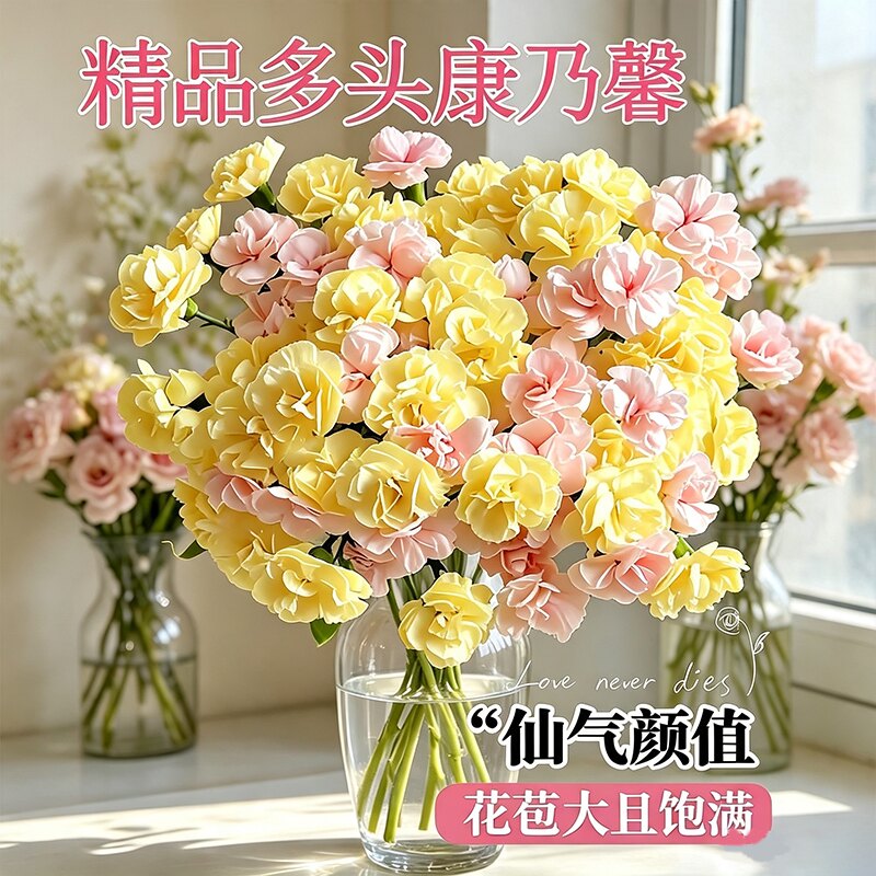 多头康乃馨鲜切花云南批发家用