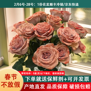 云南基地新鲜玫瑰切花同城配送A级卡布奇诺玫瑰生日鲜花送女友