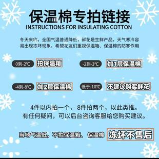 冻坏不售后 不拍保温棉 0度以下拍保温棉 保温棉专属链接