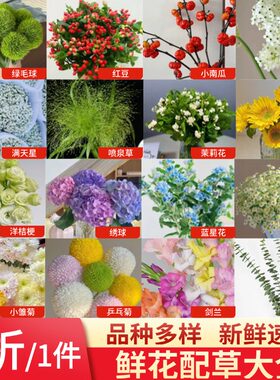 鲜花配草配花草花系列尤加利叶插花洋甘菊红豆枝插瓶水培花艺周边