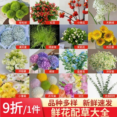 鲜花配草配花草花系列尤加利叶插花洋甘菊红豆枝插瓶水养花艺周边