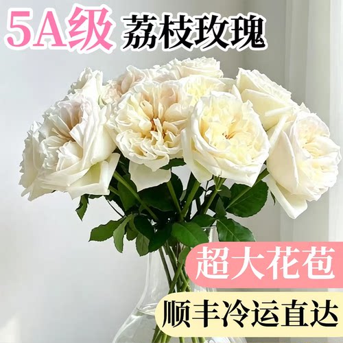 白荔枝玫瑰鲜花鲜切云南基地直发