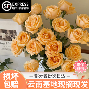 云南基地鲜花玫瑰花束情侣生日鲜花同城配送A级香槟红玫瑰插花