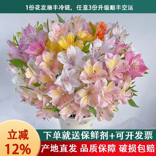 鲜花云南基地直发水仙百合插花