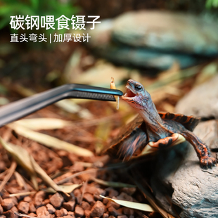 速发乌龟不锈钢喂食镊子加长喂缸爬宠守宫睫角龙鱼虫蛙鱼龟鱼夹角