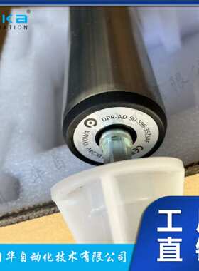 德马Damon电动电机滚筒输送带辊筒DPR-AD-50-650-20JSFA