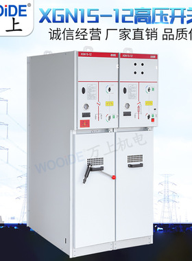 高压开关柜环网柜 XGN15-12进出线柜 六氟化硫负荷开关SF6 计量柜