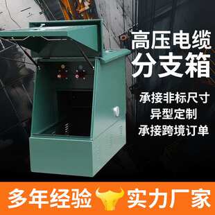 10KV高压电缆分支箱DFW-12/630A分支箱一进一出二出三出分接箱厂