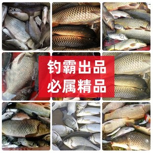 鲤鱼小药黑坑专用套装主攻正钓偷驴滑口回锅鱼饵料促食.套餐添加