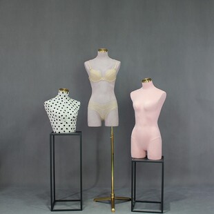 聚拢胸内a衣模特道具女半身展示架内衣内裤落地架拍摄模型橱窗展