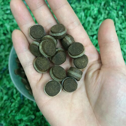 鲟鱼饵料沉底饲料k 垂钓皮筋颗粒腥香高蛋白钓饵  黑坑小药 包邮