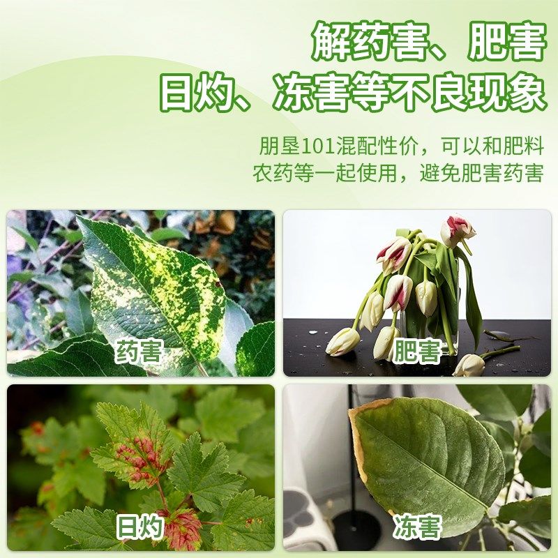 [养花的老胡]朋垦101植物x活力素花卉绿植促生长快速生根壮苗剂,鲜花速递/花卉仿真/绿植园艺,家庭园艺肥料,淘宝优惠券,粉丝福利购,淘宝优惠卷