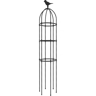 加高月季大花架爬藤架花园庭院别A墅铁线莲藤本花卉园艺攀爬花支