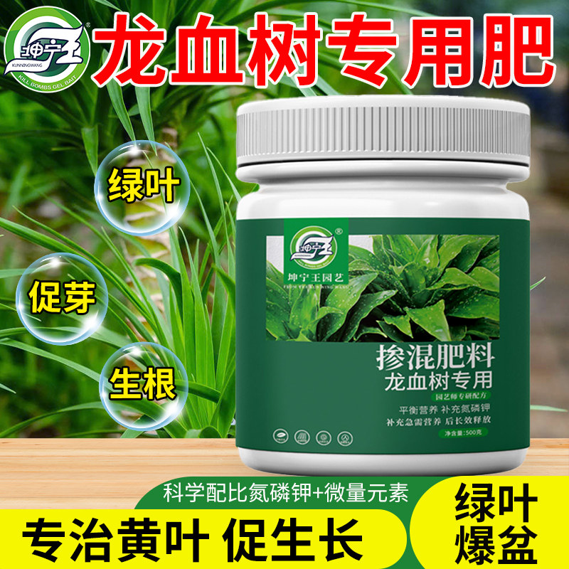 速发龙肥树专用肥料缓释肥龙须树营养液家用盆栽颗粒复合血促绿叶