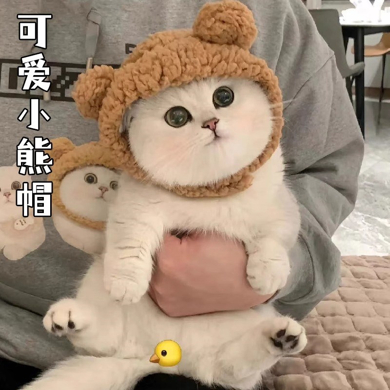 速发可照猫爱头套四季通用狮子兔子变装拍咪头饰