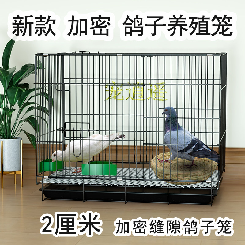 速发新型鸽子笼配对笼养殖繁殖家用大号小鸡野鸽子加密鸽子鹌鹑专