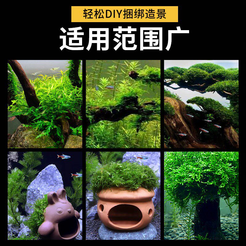 速发水草绑线草缸造景绑莫斯固定沉木杜鹃根超细透明尼龙水晶线水
