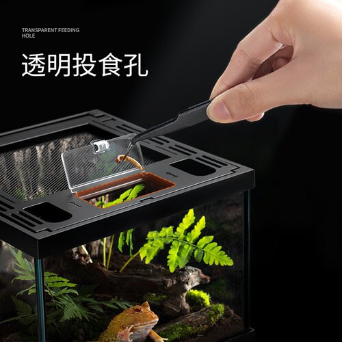 爬宠缸全透生态缸饲养箱守宫蜥蜴角蛙寄居蟹乌龟蛇虫爬宠玻璃雨林