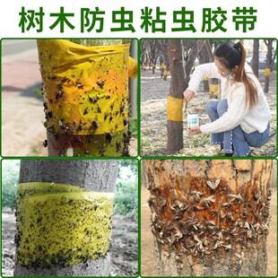 一卷包邮果树专用粘虫胶带强力缠树带防虫防水防晒苍蝇诱虫带大棚