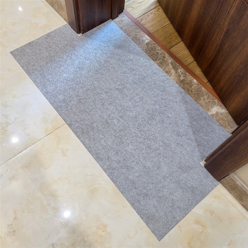 一次性入户地垫进门地毯门口家用门垫防滑客厅玄关脚垫可裁剪免洗