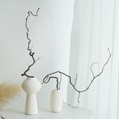 龙枣枝中式 饰乾燥花客厅名宿酒店枯枝摆件乾燥 插花天然树枝树干装