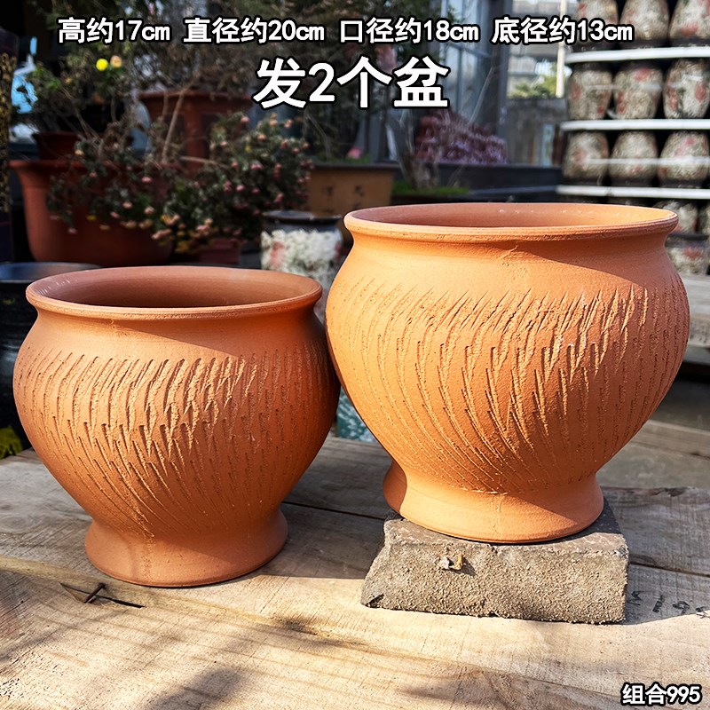 速发花盆多肉花大红陶罐防烂根陶瓷器盆特盆号多肉植物盆花盆