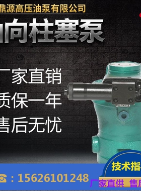 速发公通高压油泵轴限南司2PCY14-1D有向柱塞泵 组泵头