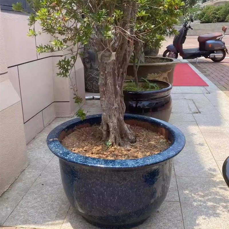 陶瓷圆形花盆均釉特大号铁树盆家用E庭院户外盆栽绿植陶土栽花花