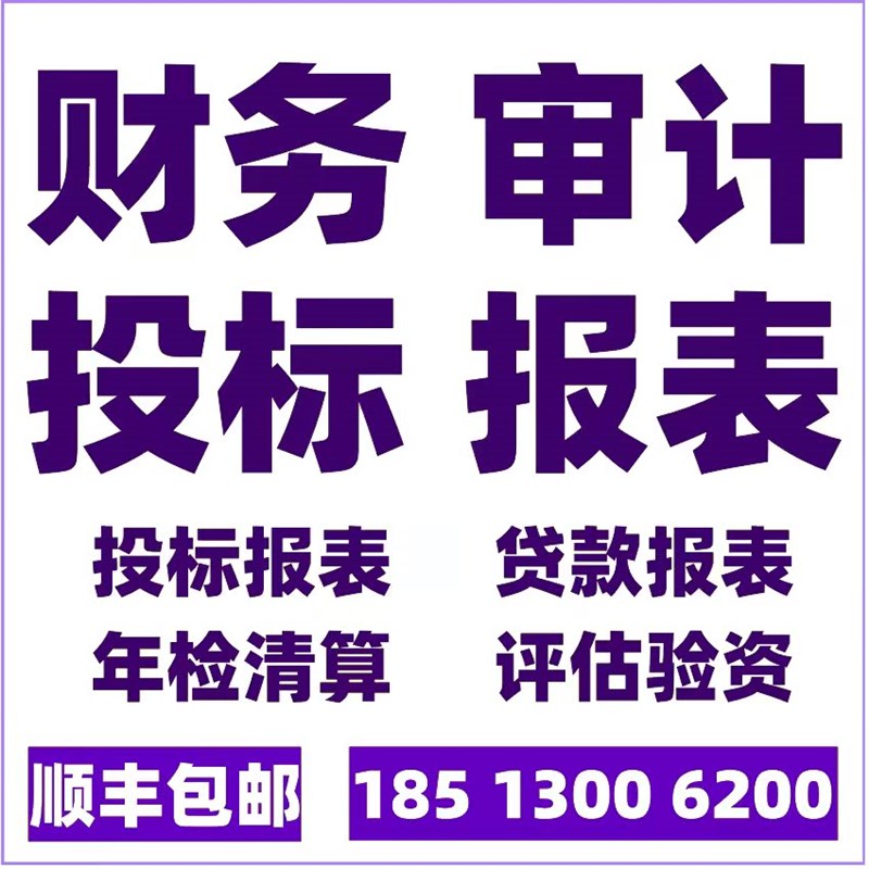 企业投标报表公司制作p银行贷款财务报表审计咨询服务年检清算评