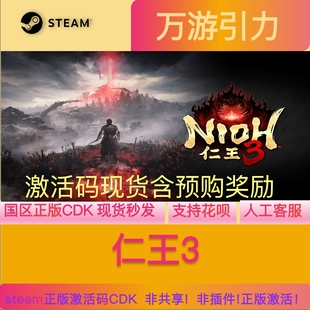 steam正版CDKEY 仁王3 Nioh 3 国区激活码 现货秒发 提前入库