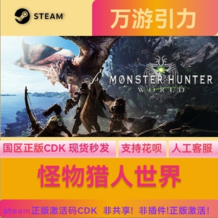 steam PC正版 怪物猎人世界 大师版 冰原DLC 国区激活码CDKEY