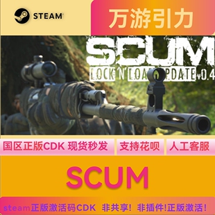 pc中文steam游戏 人渣 SCUM 正版激活码scum 国区cdkey 现货秒发