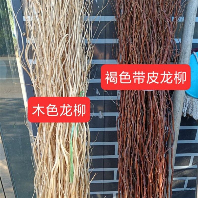 真树枝加工干树枝装饰品可弯曲x造型DIY手工树枝材料干支龙柳树枝