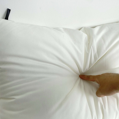 超软云柔梦枕低枕芯卧室枕头芯可水洗H家用防螨安睡枕头回弹不变