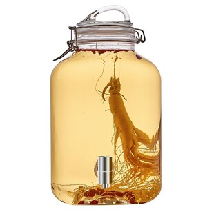 泡酒玻璃瓶家用密封带盖泡酒x罐高档人参专用自酿白酒瓶空瓶酒坛