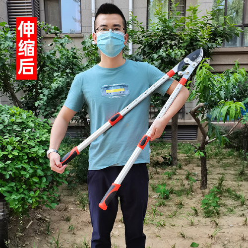 剪枝果树修枝剪刀园艺修剪树枝园A林省力修粗枝剪家用工具剪子神