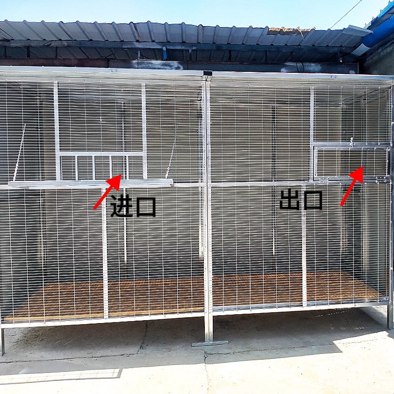大型拼装鸽笼家用鸽子配对笼巢箱鸽舍鸽棚组合养鸽子用具用品大全