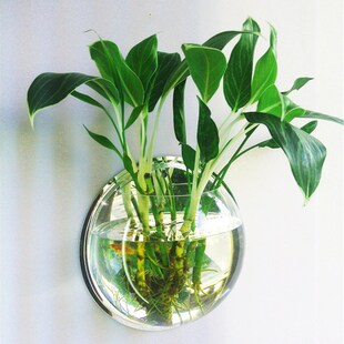 花瓶壁饰插花水培花器立体亚克力墙贴办公桌面鱼缸花盆客厅装饰品