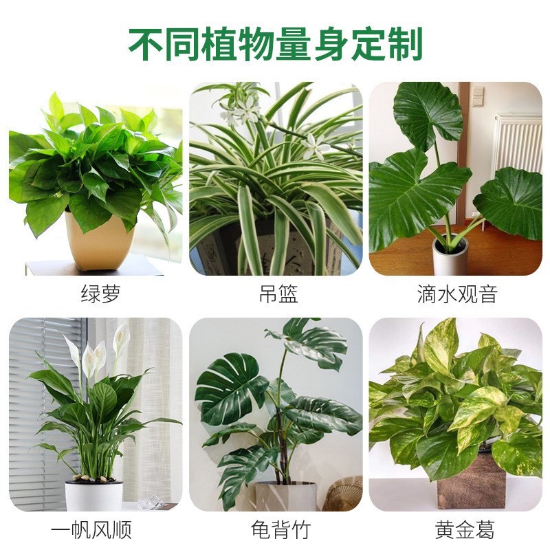 八个老头通用型植物营养液浓缩液体土培水培效吸收
