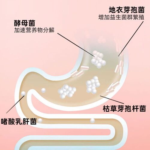 成幼猫咪狗狗通用益生菌片小英短布偶渐层泰迪金毛宠物营养补充剂