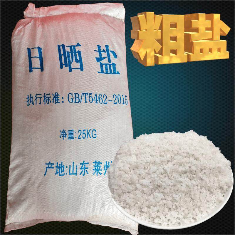工业盐粗盐养殖养鱼虾用盐海盐大颗粒日晒盐水处理锅炉软化水盐