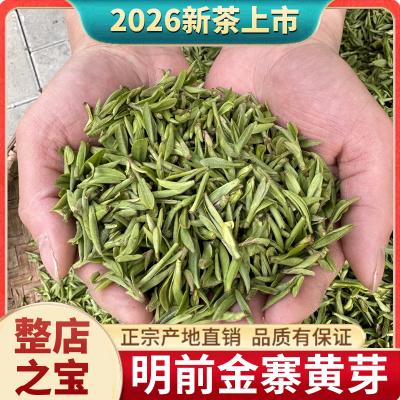 金寨黄芽安徽绿茶明前头采礼盒装