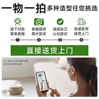 造型龙血树客厅绿植办公室内大型绿植盆栽龙须P树好养植物真龙铁