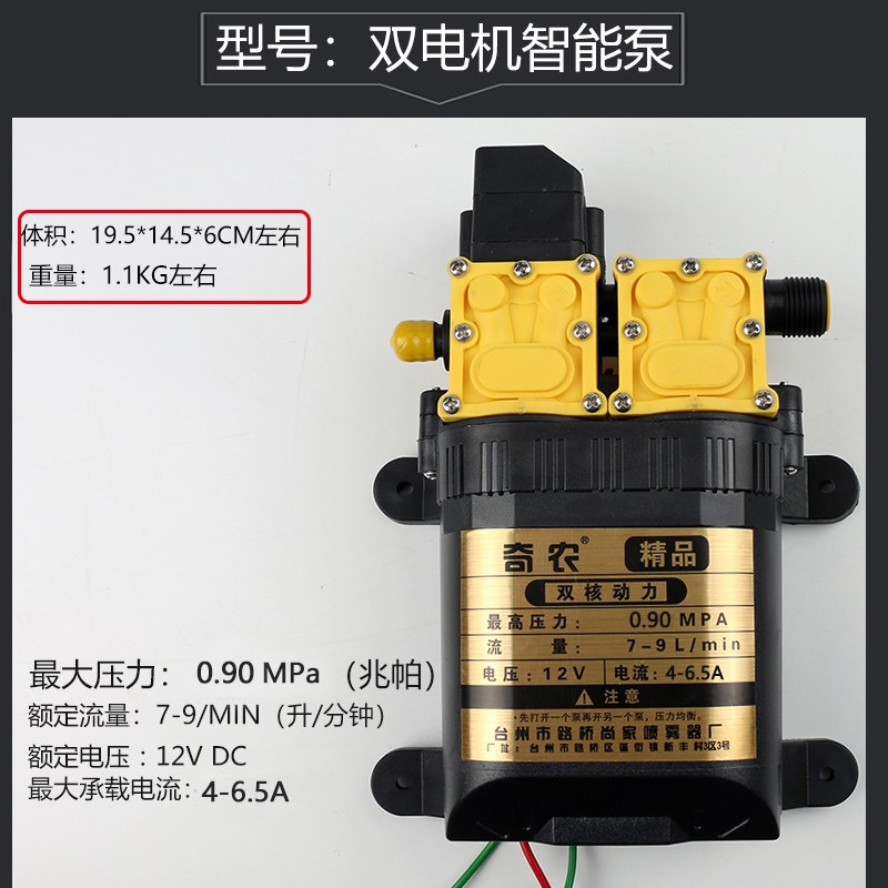 12V双b电机水泵 果树打药机配件 双核水泵